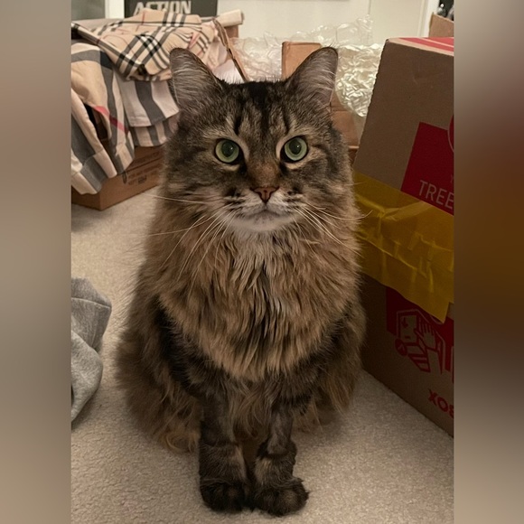 Invisalign Welcome Box w/Tray Case & Pack of Cleaning Crystals - Picture 9 of 10